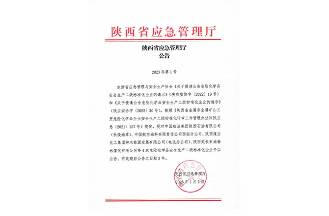 陜西省應(yīng)急管理廳公告