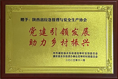 黨建引領(lǐng)發(fā)展 助力鄉(xiāng)村振興